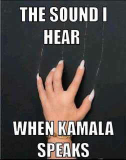 1000028486