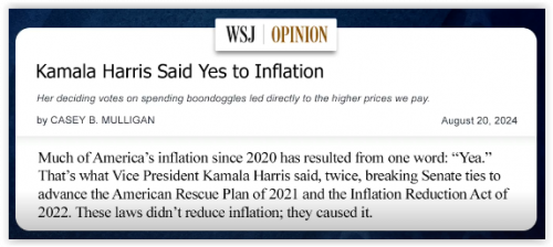 Screen Shot 08-23-24 at 12.44 PM