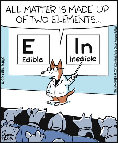 Screenshot 2024-08-15 at 06-37-51 Off the Mark by Mark Parisi for August 15 2024 - GoComics