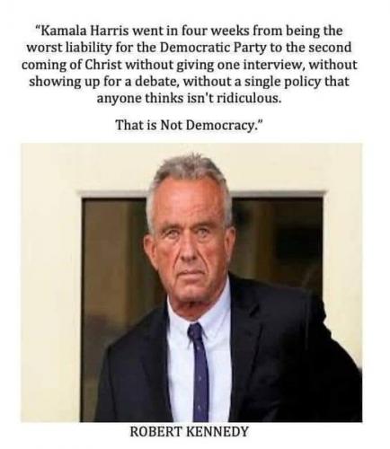 rfk jr on kamala