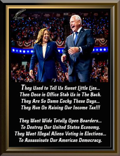 Harris and Walz ~Assassination Of Democracy~