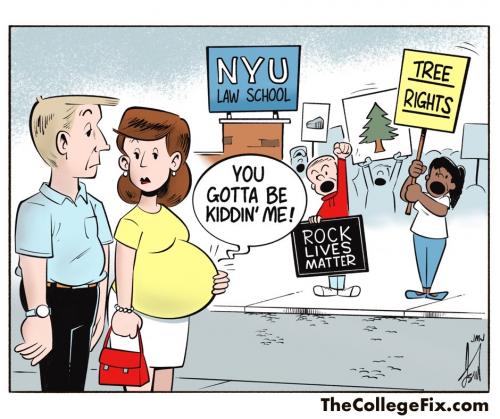 453884001_1022436415796