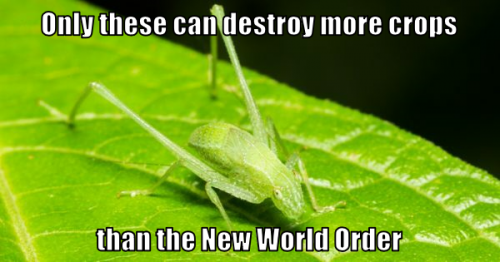 otcdmcttnwo