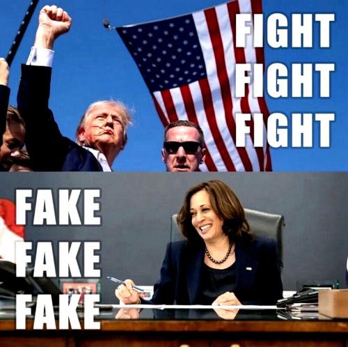 Fight Fight Fight ~Fake Fake Fake~