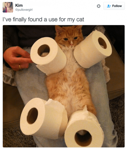 Paper, Cat -- Tampon Timmy to Toilet Nasty Nutty Nancy