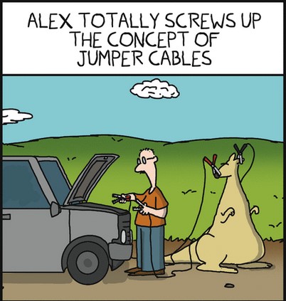 Screenshot 2024-08-17 at 06-22-16 Loose Parts by Dave Blazek for August 17 2024 - GoComics
