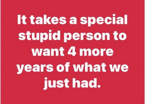 KAMI STUPID