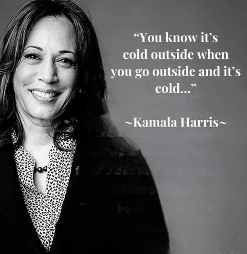 455121285_10233028039952979_8157456959619988492_n