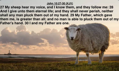 John 10.27
