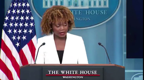 Biden, Karine Jean-Pierre, Obama -- Pickup Quarters, Ignoring Game, Asleep Meditation, Shit His Pants, Japanese, Tiger, Retarded