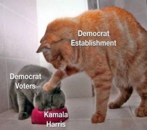 kxYujL2