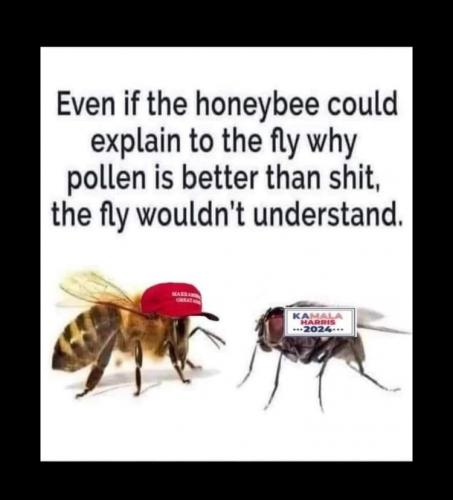 aaa