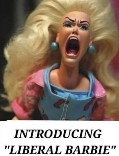 Liberal Barbie, Toy, Libtard Girl