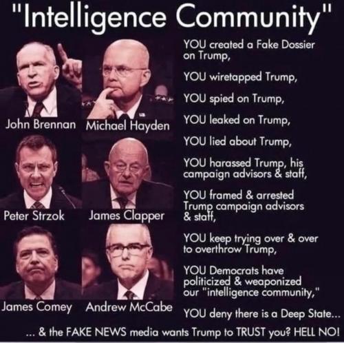 intelligence