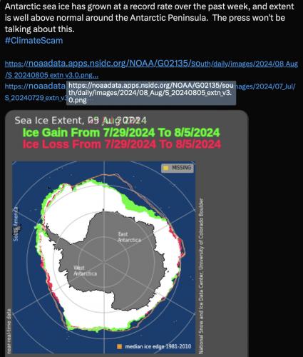 Antarctic sea ice 2024