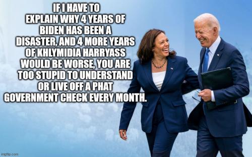 biden-harris-voters