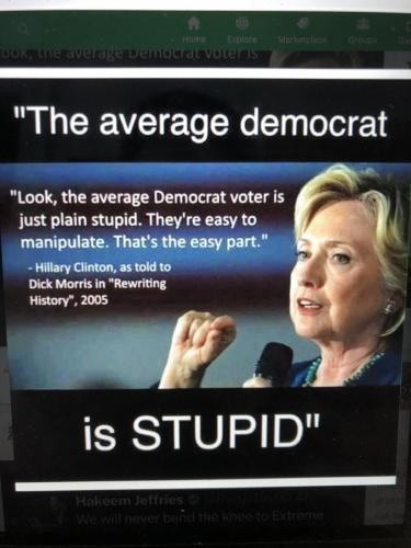 stupid dems
