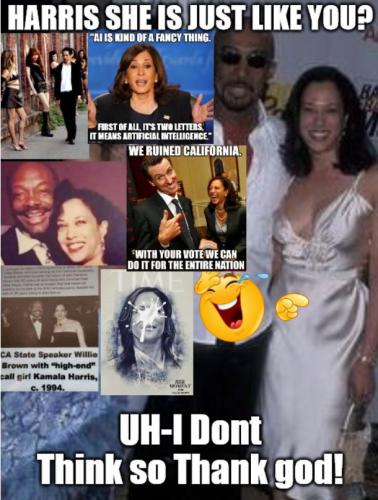 bidenhohojustlikeyou
