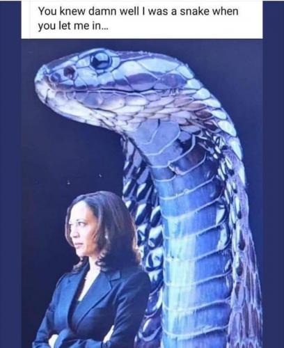 2c364301-dba9-4733-a31e-ffedd2d2c7af