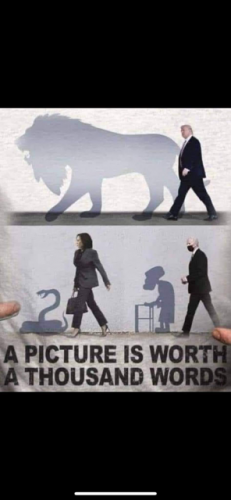 194F9EF8-E88D-4C09-BF5D-AB54A0FEC580