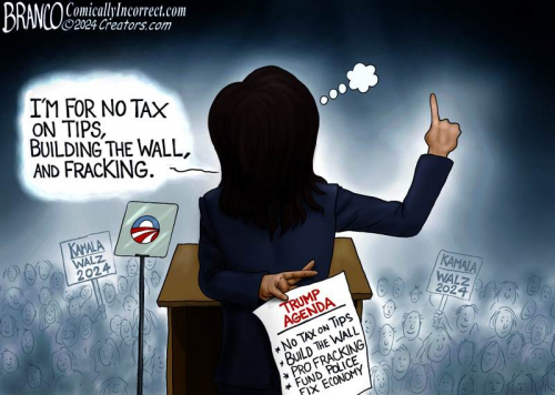 48F9757E-E07C-4E6A-8D1B-E09A2F918EA7