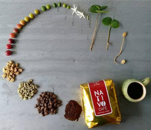 Coffee -- A Bean's Long Journey to Your Coffee Cup