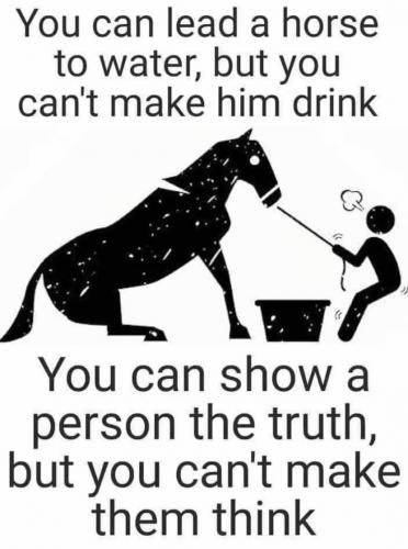 31898847e3b3f9eb