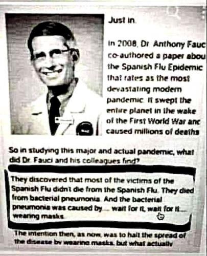 FAUCI ~The Killer Rat~