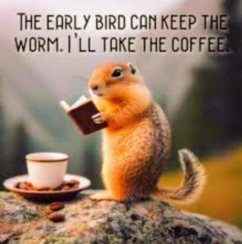 early bird