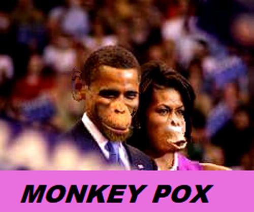 Monkey Pox