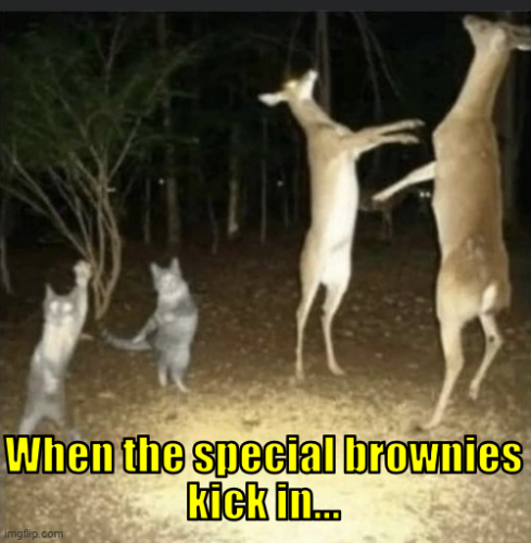 wtsbki