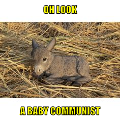 olabc
