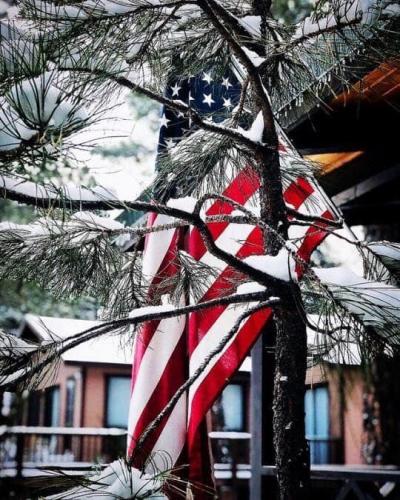 Flag - Through snow-covered trees 3