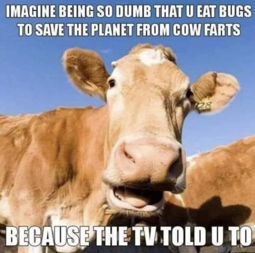 bugs vs cow farts