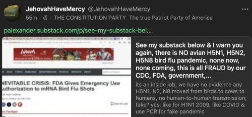 no avian flu 13
