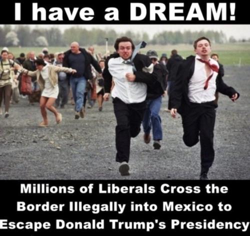 Millions of Liberals