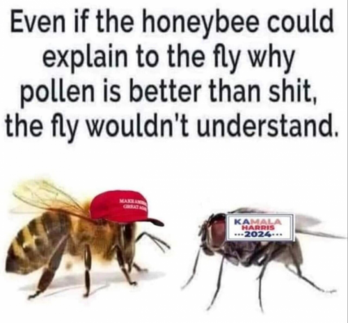 1000029083