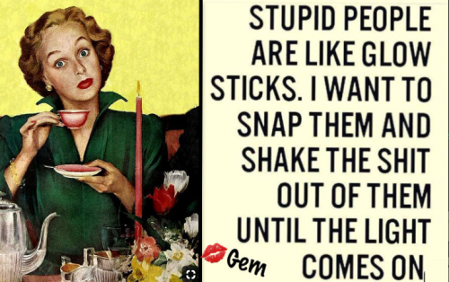 stupid people