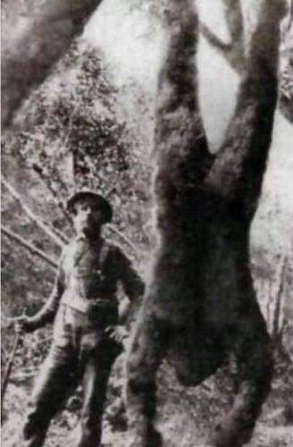 FB_IMG_1723462274593