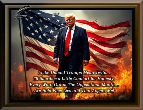 Trump ~Mean Twits~
