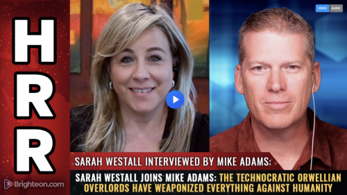 Screen Shot 2024-08-15 at 7.40.55 AM