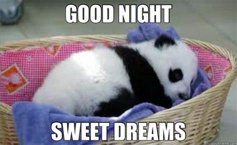 Panda  cuddle