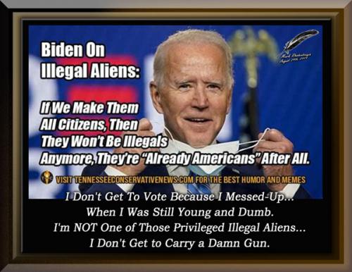 Joe Biden's Illegal Alien Voter Registration