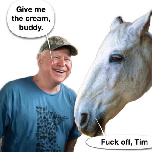 fuck off tim
