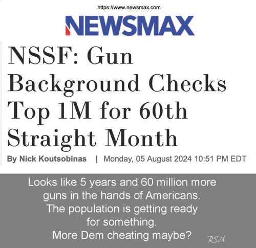 Gun checks