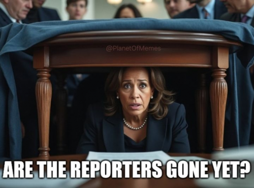 54AB6568-B16F-488F-9304-058D7F95FFB8