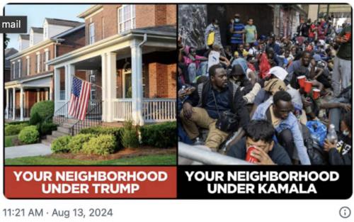 neighborhood 2024