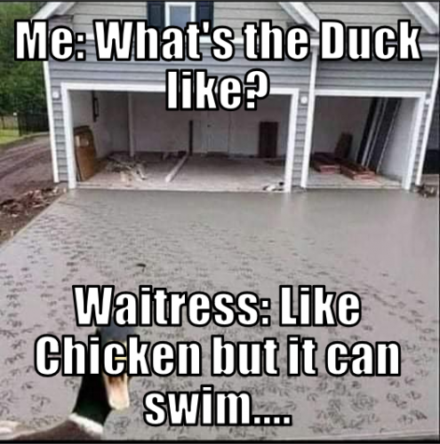 wtdl