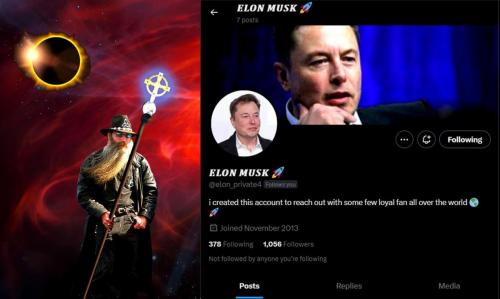 FAKE Elon Musk ~Too~