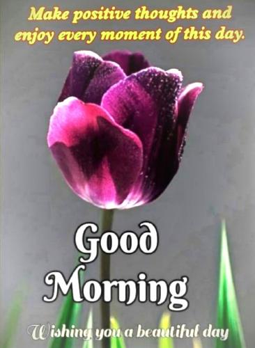 082624 - Positive thoughts